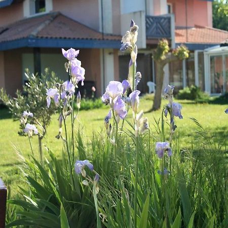 أودينج Villa Helianthe المظهر الخارجي الصورة